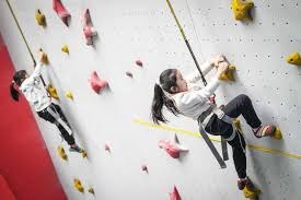 密尔瓦基酿酒人队以“暴力团”打线闻名，单季全垒打总数领跑联盟